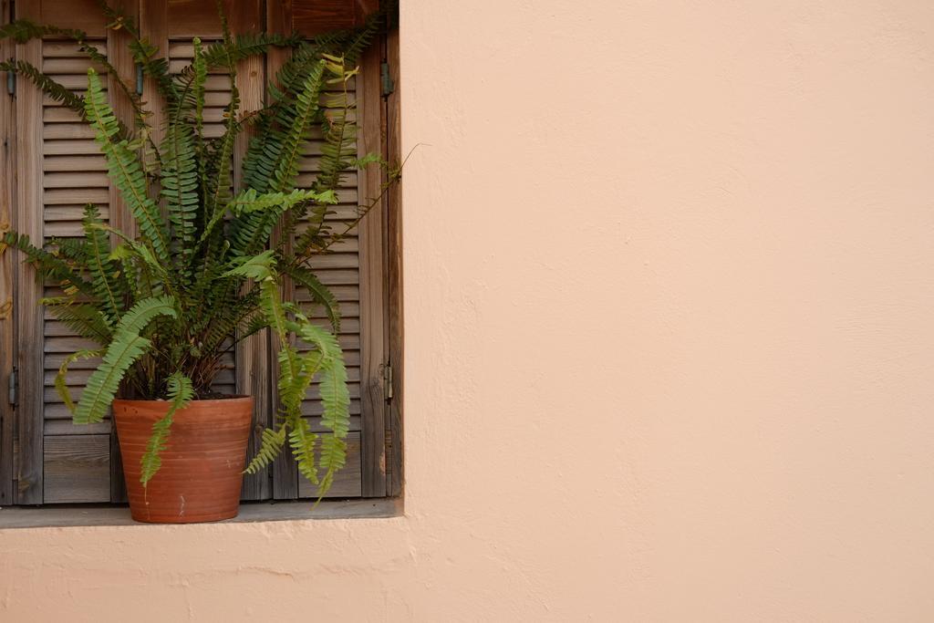 Fivos Pension La Canea Esterno foto